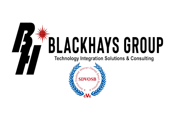 BlackHays Group Logo